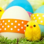 chicks-and-easter-eggs