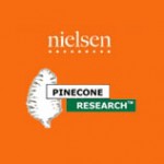 pinecone-orange