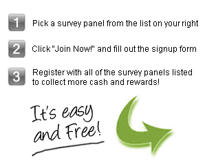 Online survey steps